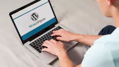 WordPress: AI-Engine-Plug-in reißt Sicherheitslücke in 100.000 Webseiten