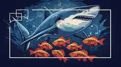 Wiresharks kleiner Bruder: Die Zukunft des Cloud-Analysetools Stratoshark