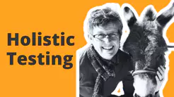 Testing Unleashed: Holistic Testing