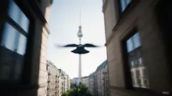 Veo 3: Googles aktueller Videogenerator in Deutschland verfügbar